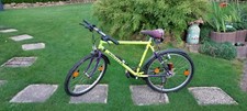 Herren mountainbike wheeler gebraucht kaufen  Eichenzell
