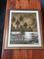 Costa maya. original for sale  LEEDS
