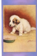 Early reszke pyrenean for sale  THETFORD