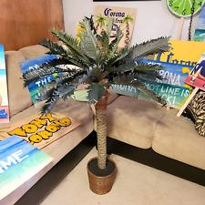corona palm tree for sale  Ingleside