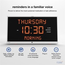 Rosie 2.0 voice for sale  Westfield