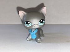 Petshop - Chat européen #126 - European kitty #126 comprar usado  Enviando para Brazil