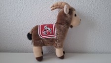 Köln geissbock hennes gebraucht kaufen  Berlin