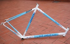 Frugeri telaio acciaio usato  Lanuvio