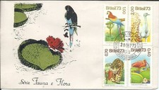 aves brasileiras comprar usado  Brasil 