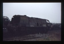 tangmere for sale tangmere for sale LEICESTER