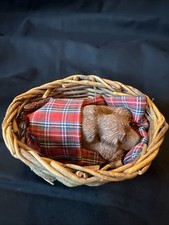 Sandicast puppy basset for sale  Vevay