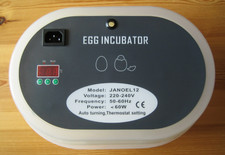 pekin hatching eggs for sale pekin hatching eggs for sale DARTFORD