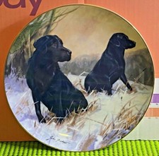 Royal doulton franklin for sale  BASILDON