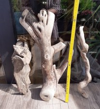 Treibholz schwemmholz cm gebraucht kaufen  Hilden