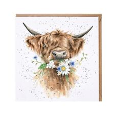 Highland cow greeting for sale  LEIGHTON BUZZARD
