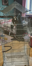 Large white bird for sale  ALEXANDRIA