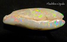 Usado, 53ct. Gema Opala Shell. Cores do Martelo " Sammlertraum + Vídeo " Flashfire-Opals comprar usado  Enviando para Brazil