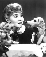 Shari lewis lamb for sale  San Clemente