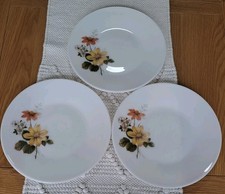 Jaj pyrex autumn for sale  COCKERMOUTH