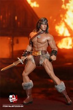 Conan the barbarian usato  Biella