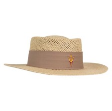Arizona state sun for sale  USA
