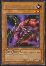 Seduzione rafflesia sod usato  Italia