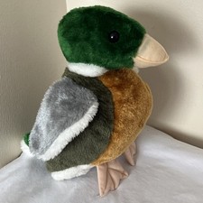 Duck mallard bird for sale  LINCOLN