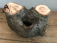 Hollow oak log for sale  Lake City