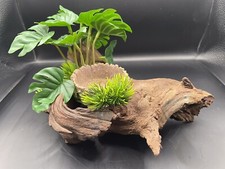 Reptile feeding water for sale  CARMARTHEN