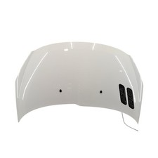Cofano anteriore bianco usato  Zoppe di Cadore