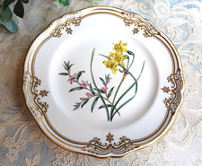Spode stafford flowers for sale  BRACKNELL