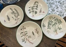 williams sonoma pasta bowls for sale williams sonoma pasta bowls for sale Massillon