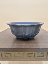 Vaso per bonsai usato  Catanzaro