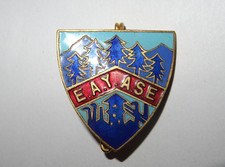 Ancien insigne identifier d'occasion  Vorey