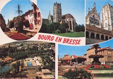 Bourg bresse sabots d'occasion  France