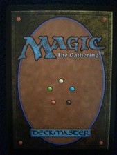 Magic mtg mazzo usato  Rosa