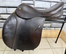 Breiter barnsby pony gebraucht kaufen  Versand nach Germany