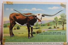 texas long horn for sale  Wilmington