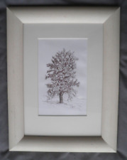 Tree study ash for sale  GRAVESEND