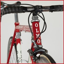 Olmo record vitalicio usato  Barletta