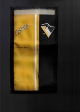 Pittsburgh penguins pengus gebraucht kaufen  Berlin