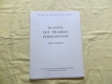 Plantes prairies permanentes d'occasion  Saint-Laurent-de-la-Cabrerisse
