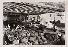 Photographie originale vendang d'occasion  Venarey-les-Laumes