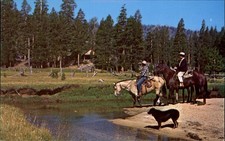 Upper Piute Meadow~Mono County California~Ranger Cabin~Walker River~cavalos década de 1950, usado comprar usado  Enviando para Brazil