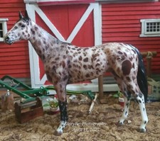 Breyer winx 1828 for sale  Truxton
