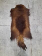 Rare wolverine taxidermy for sale  KINGSWINFORD