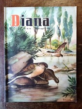 Diana 1953 agosto usato  Volpeglino