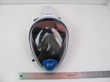 Head mares sport for sale  Salt Lake City