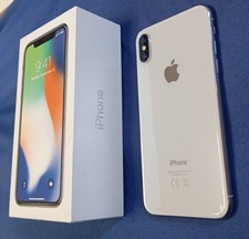 Apple iphone argento usato  Villorba