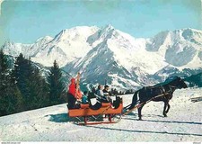 Animaux chevaux panorama d'occasion  Fruges