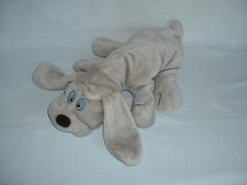 Little lonely puppies for sale  EYE