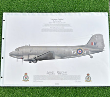 Squadron print douglas for sale  LEATHERHEAD