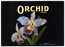 Orchid historical 1930s for sale  Lone Tree