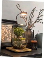 Fish bowl vase for sale  Miami